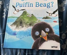Irish language children's book