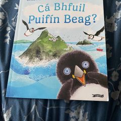 Irish language children's book