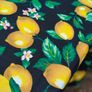 Vintage Paule Marrot Tablecloth Image 5