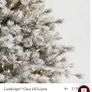Christmas tree Image 4