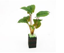 Aqua Nova Artificial Plant 25cm BE2509