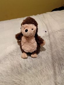 Nippit the hedgehog Jellycat