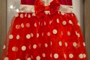 mini mouse costume