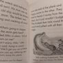 Little Dolphin Books By Lucy Daniels, Image 10