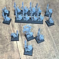 Warhammer old world spider rider warriors