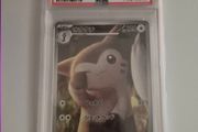 PSA 10 Pokemon Card Furret AR 110/100 BATTLE PARTNERS sv9 Japanese