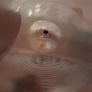 sabian 14" rock hi hats Image 2