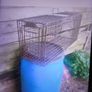 cage trap Image 3