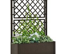Garden Raised Bed with Trellis and Self Watering System Mocha