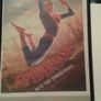 Spider-Man Framed. Image 3