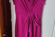 Sexy Magneta Dress (Gallery Brand)