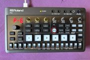 Roland Aira P-6