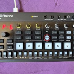 Roland Aira P-6