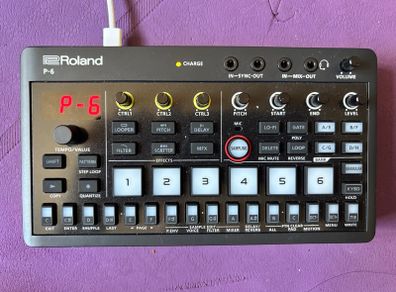 Roland Aira P-6