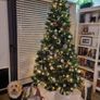 Christmas Tree Image 2