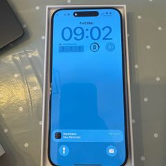 iPhone 16 pro max