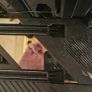 Asus AM4 x570 Rog crosshair viii formula Image 4