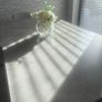 Dining Table Image 5