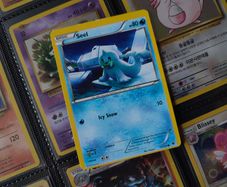 Seel ! Miscut Error ! Off Centre ! from Fates Collide Set ! 2016 ! Error Pokemon Card !