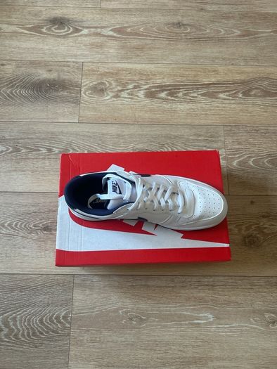 Big Nike Lows