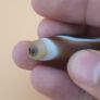 Vintage Yemeni Suliemani Natural Eye Agate Bead Amulet Image 9