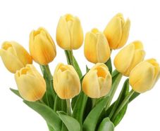 10 Artificial Tulips