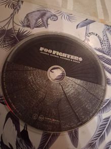 foo fighters no sure if working