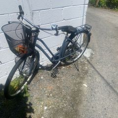 lady's Dutch bike