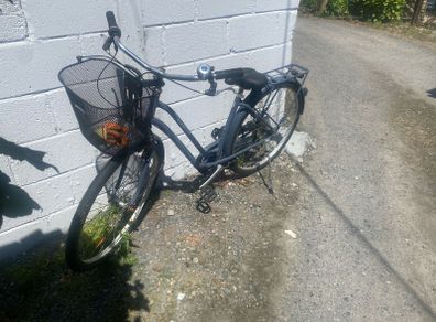 lady's Dutch bike