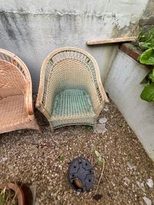 Wicker chairs