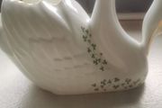 Royal Tara Swan