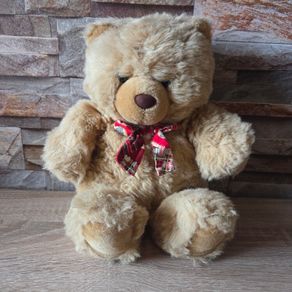 25cm Teddy Bear METRO
