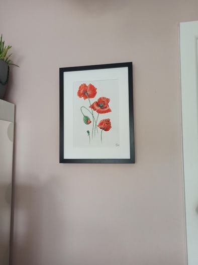 Original poppy painting