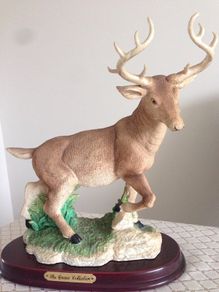 Stag