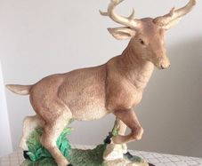 Stag