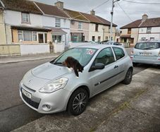 Renault Clio 2012