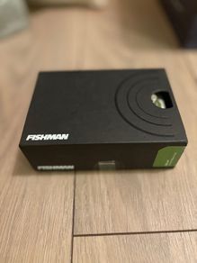Fishman Delay Pedal