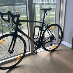 Trek Domane 2 for Sale