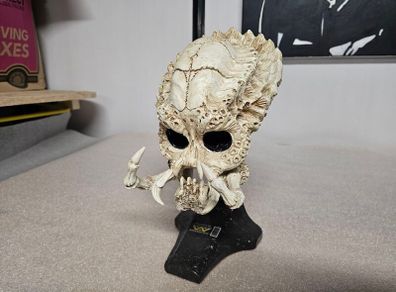 Predator Skull