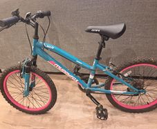 Muddyfox Aqua 20-inch bike