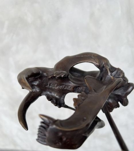 Sabre-Tooth Tiger (20cm) - Bronze, Signed