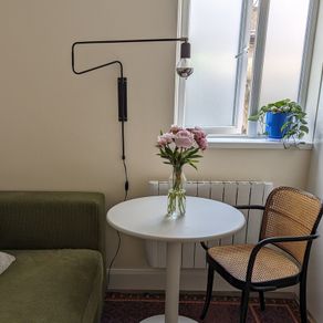 swing arm lamp