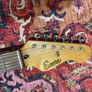 Encore Electric Guitar - Black Strat Style Image 10