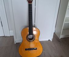 Acoustic Guitar