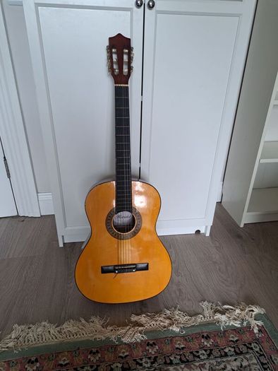 Acoustic Guitar