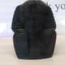 bust Image 2