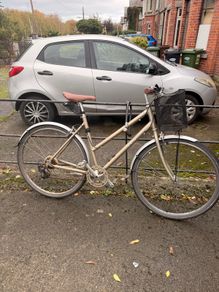 Ladies Bike (L)