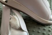 Girl Shoes size 5