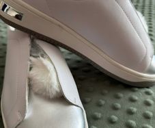 Girl Shoes size 5