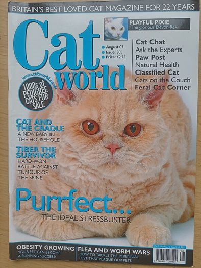 Cat World